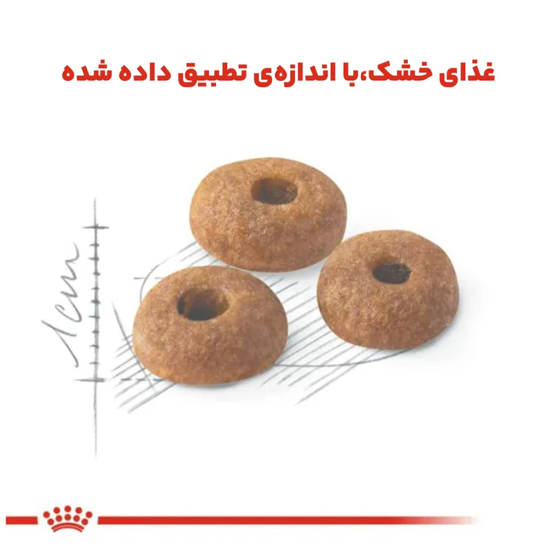 غذای خشک گربه فیت رویال کنین وزن 2 کیلوگرم
