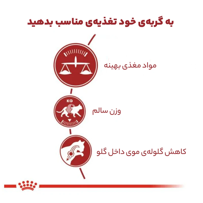 غذای خشک گربه فیت رویال کنین وزن 2 کیلوگرم