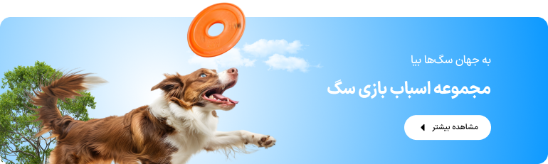 انواع اکسسوری گربه