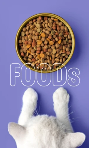 غذای خشک گربه