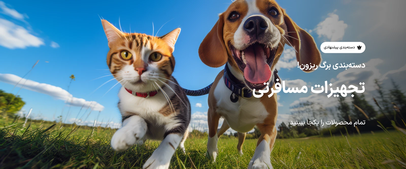 انواع تجهیزات مسافرتی