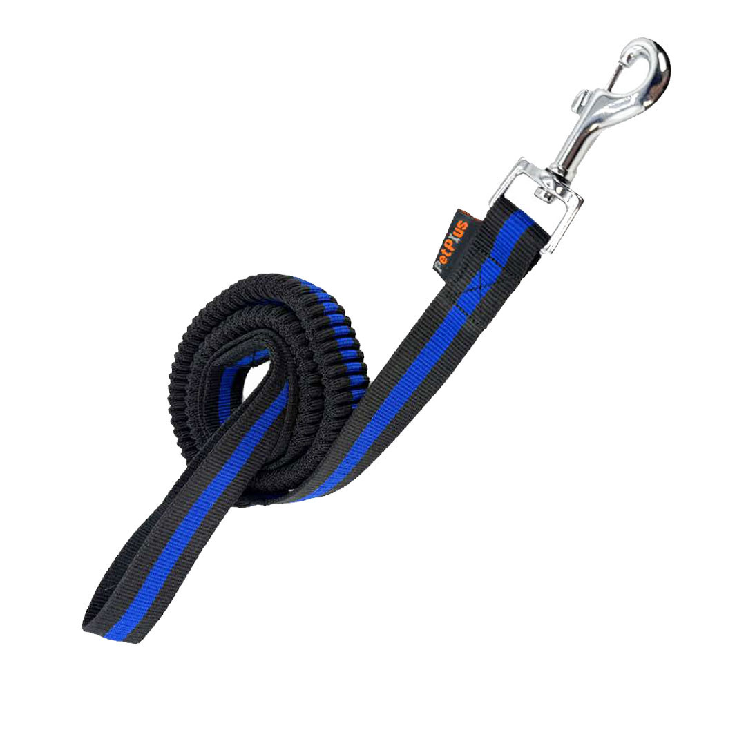 لید اسپرینگ