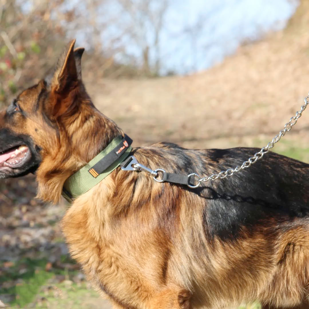 گردنی دسته دار سایز XXL