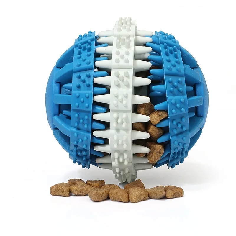 توپ دندانی و مسواک تشویقی خور الما elmaa