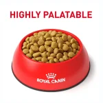 غذا خشک گربه رویال کنین یورینری اس او 1.5 کیلوگرم