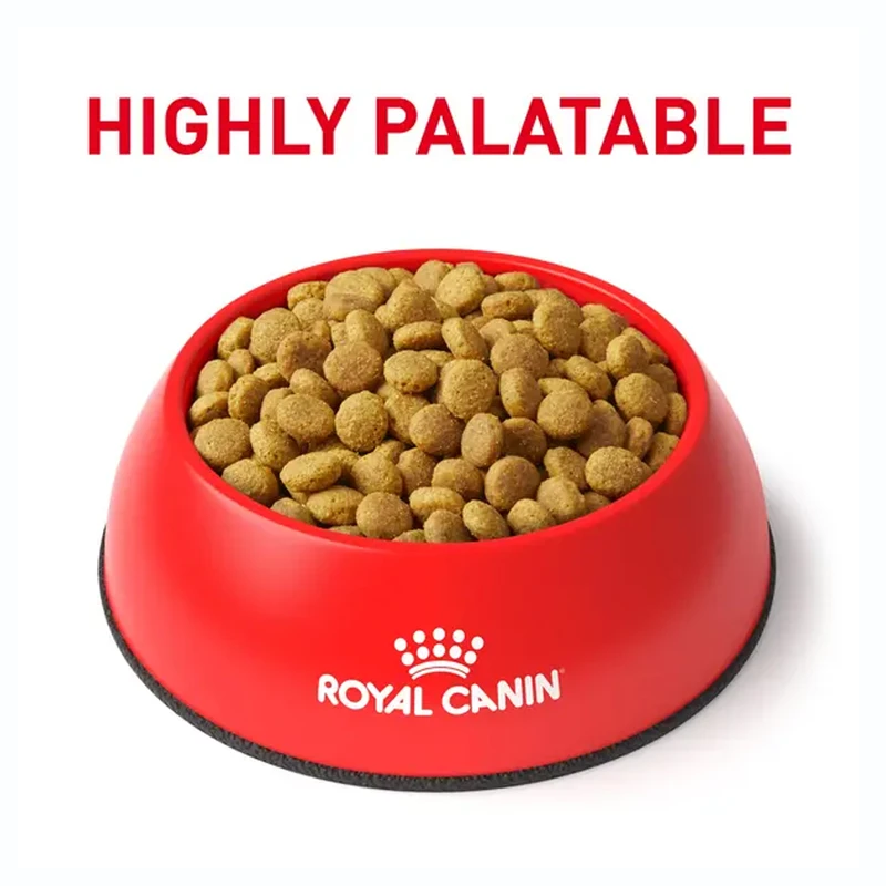 غذا گربه رویال کنین یونینری اس او 1.5 کیلویی