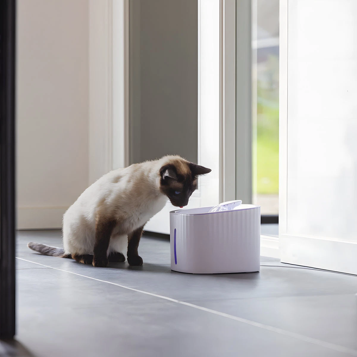 ظرف آب اتوماتیک چراغدار