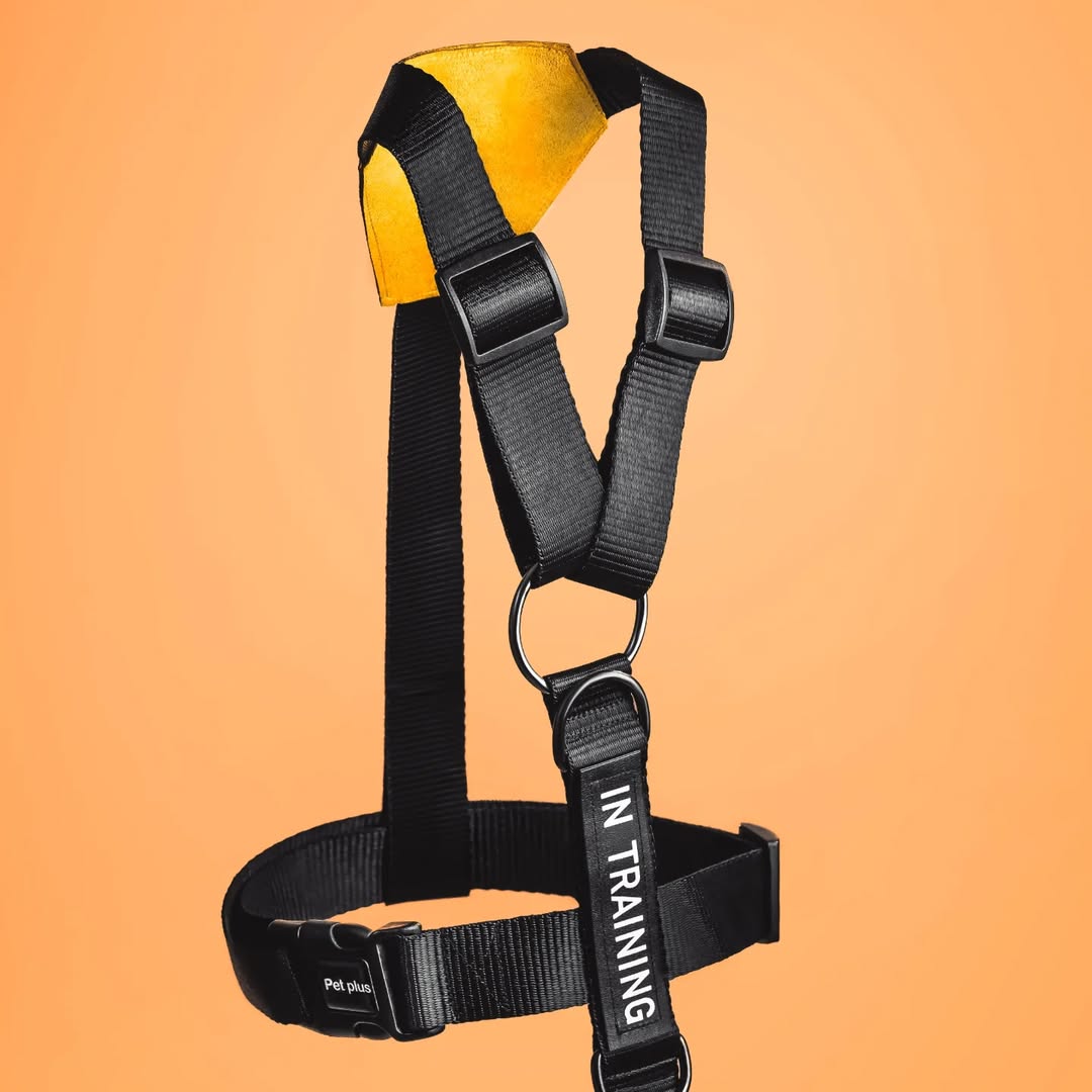 هارنس k-9 سایز XL