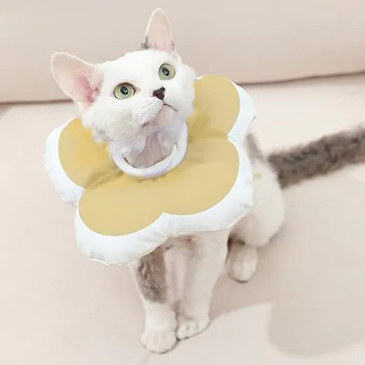 الیزابت پارچه ای طرح گل مدیوم