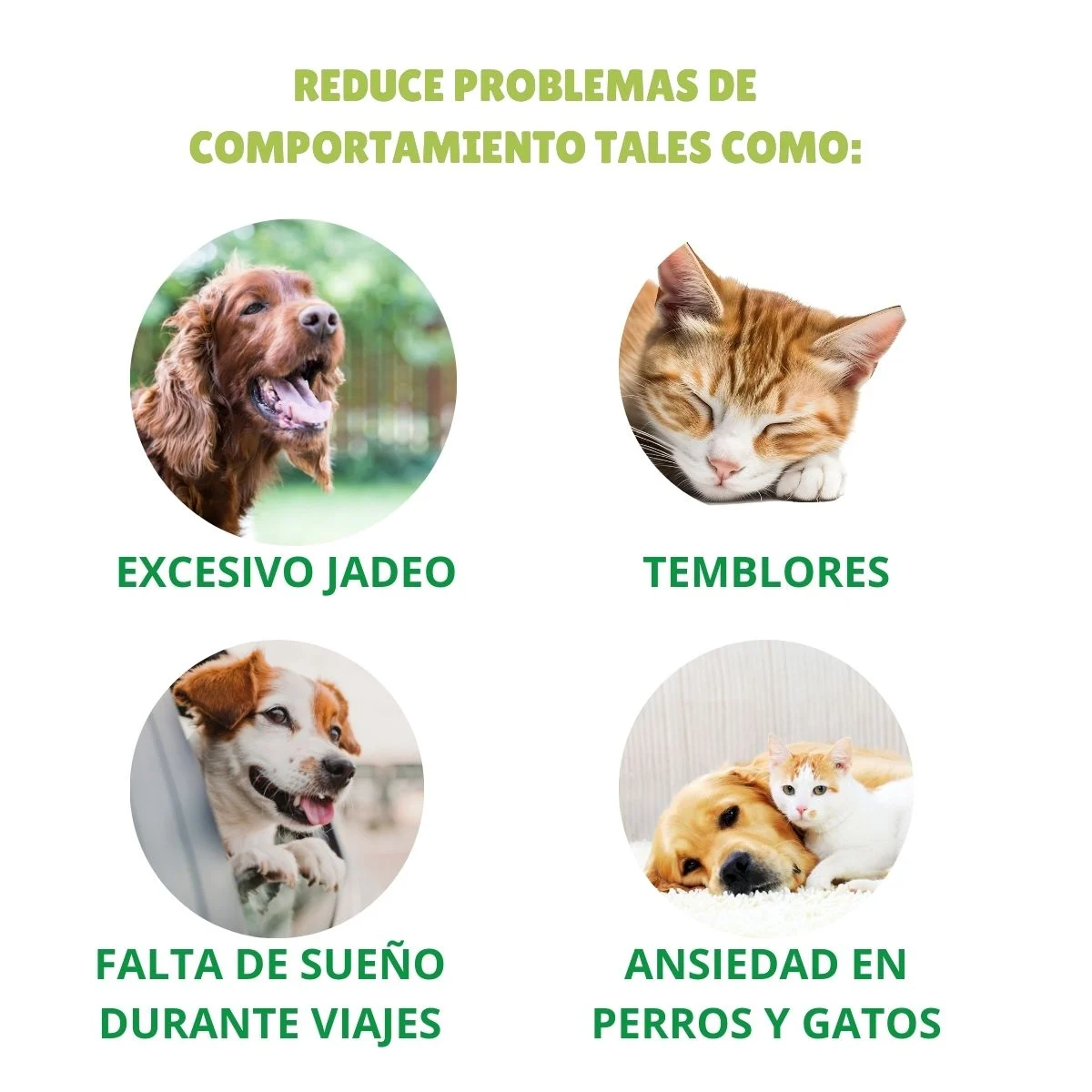 اسپری آرامش بخش بایولاین