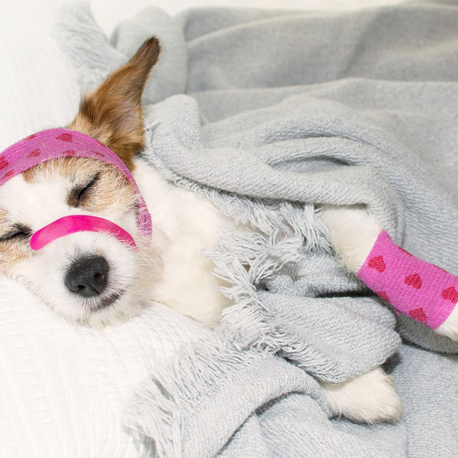 چسب آنژیوکت دامی طرح دار