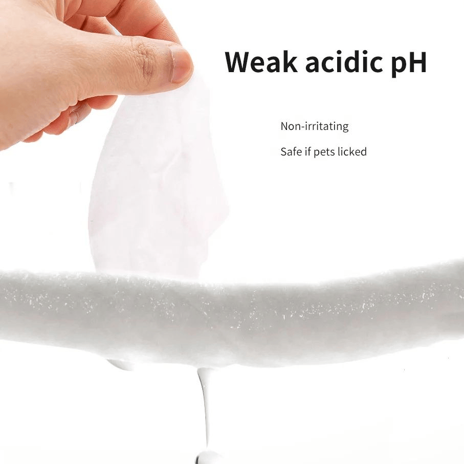 دستکش حمام 10 عددی N4P