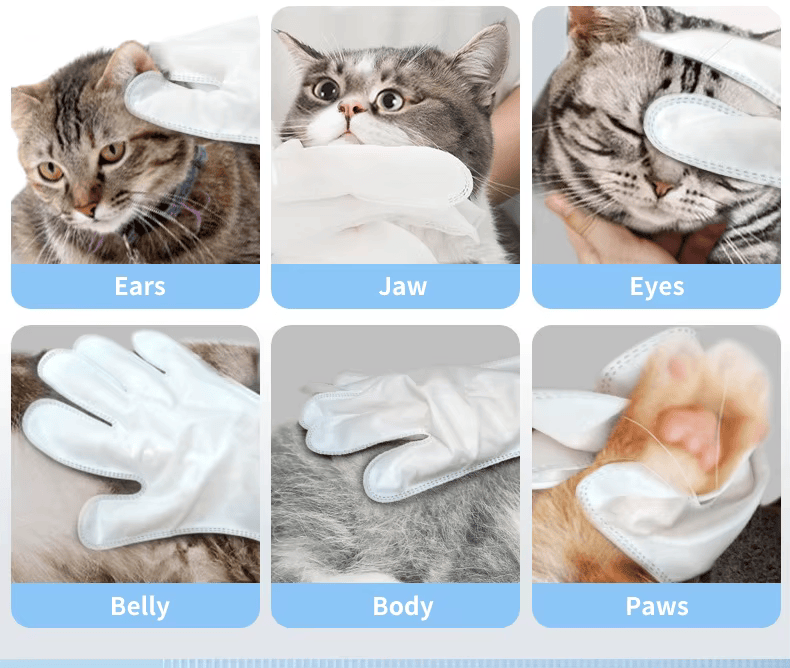 دستکش حمام 10 عددی N4P