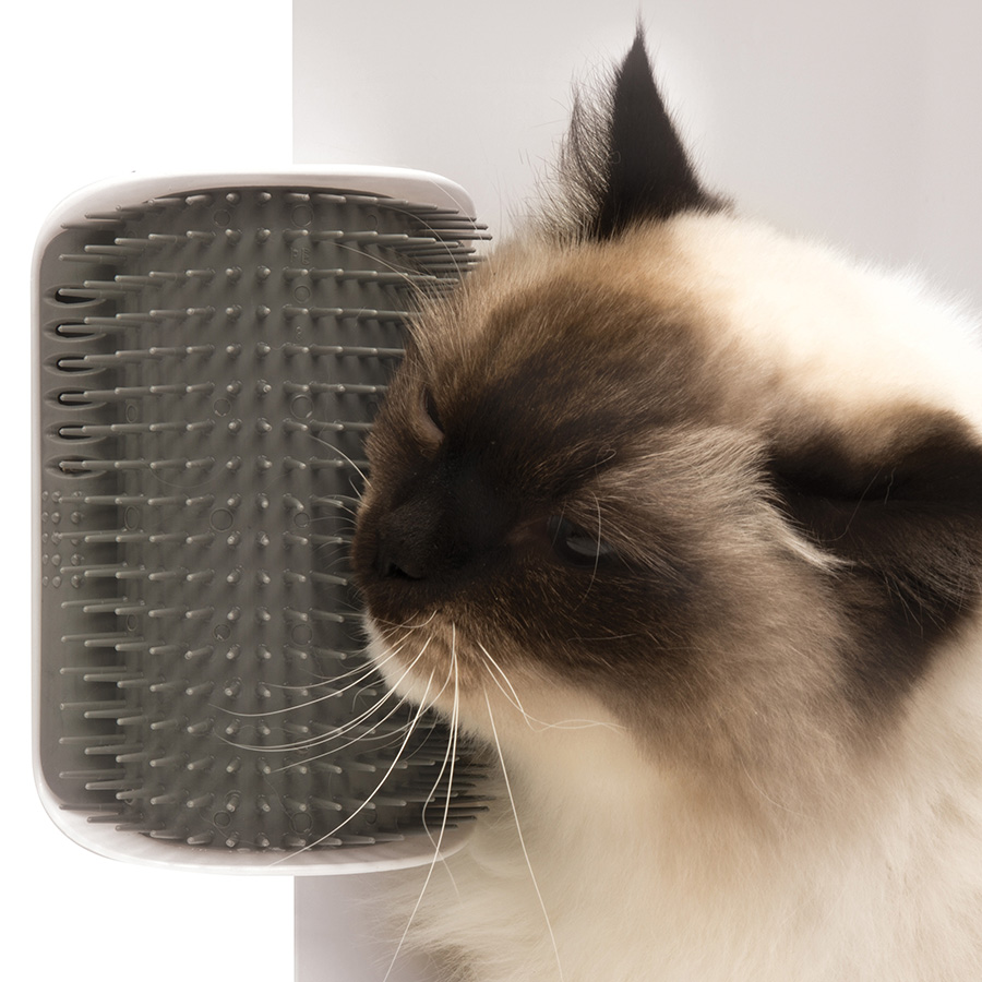 برس و ماساژور دیواری گربه