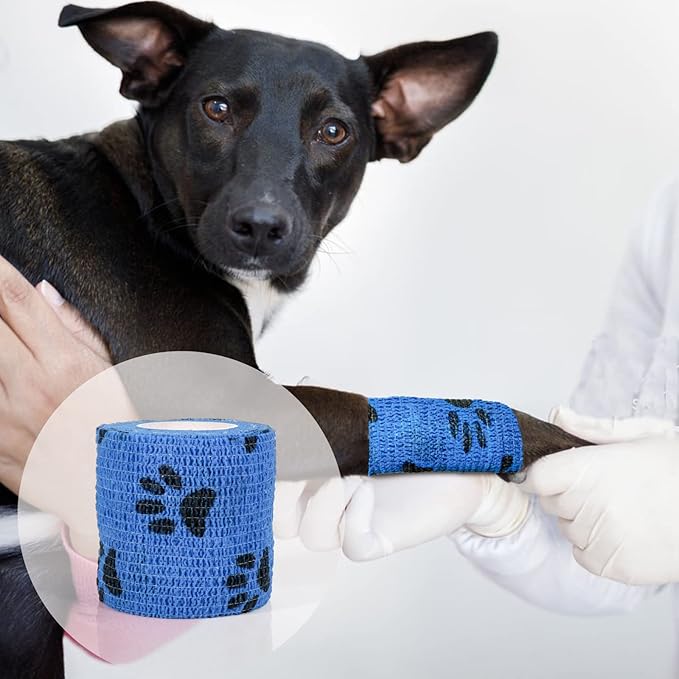 چسب آنژیوکت دامی طرح دار