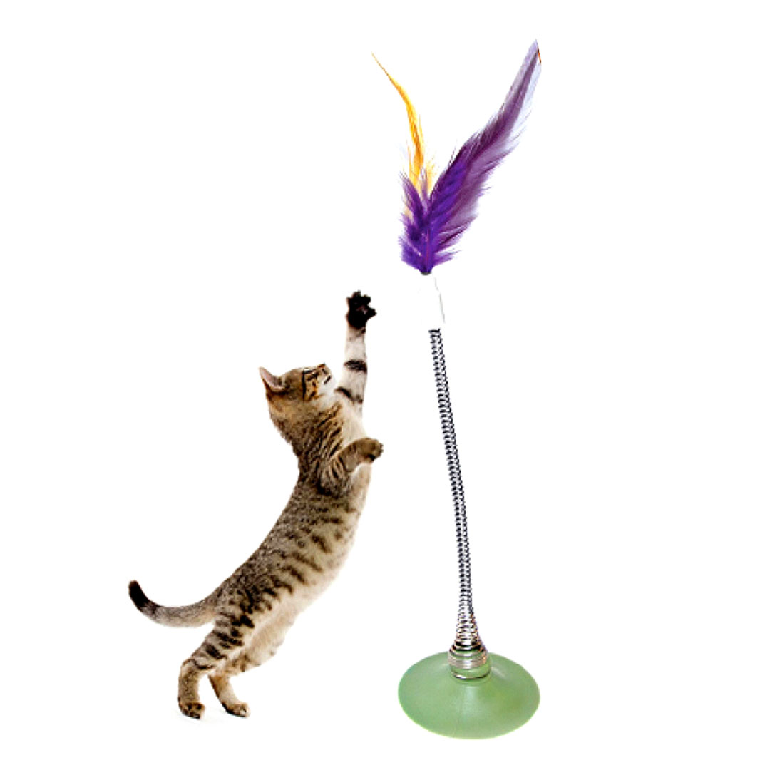 اسباب بازی گربه دایان