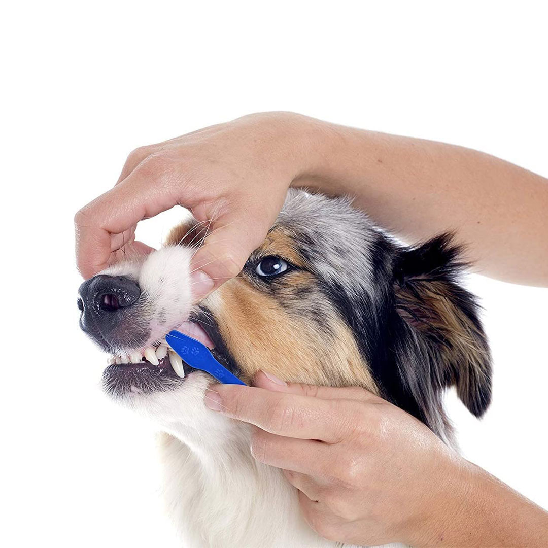 مسواک با دو سر انگشتی یوروپت