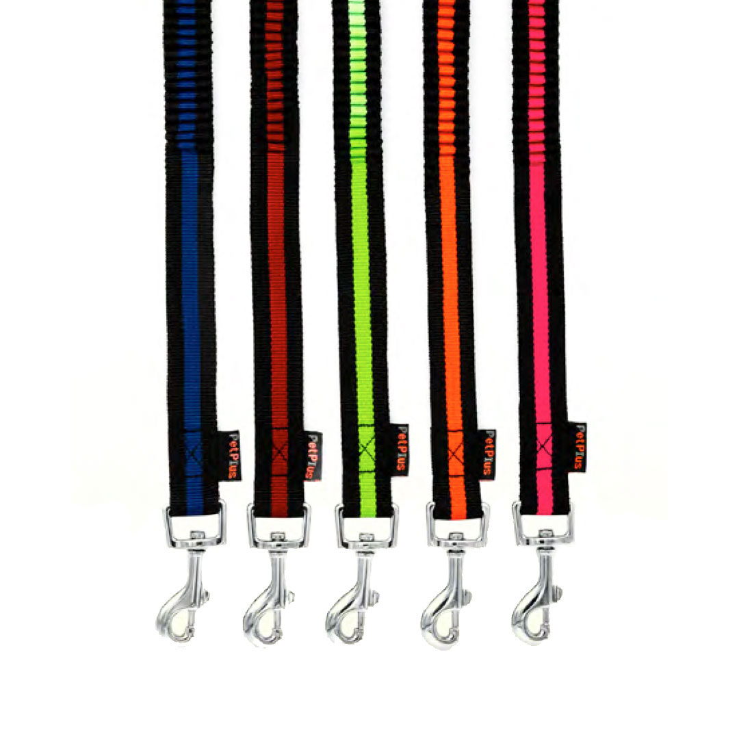 لید اسپرینگ