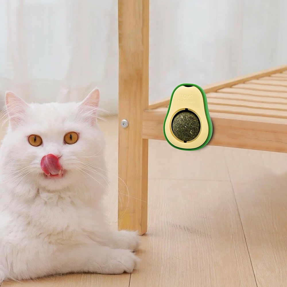 آبنبات دیواری آوکادو