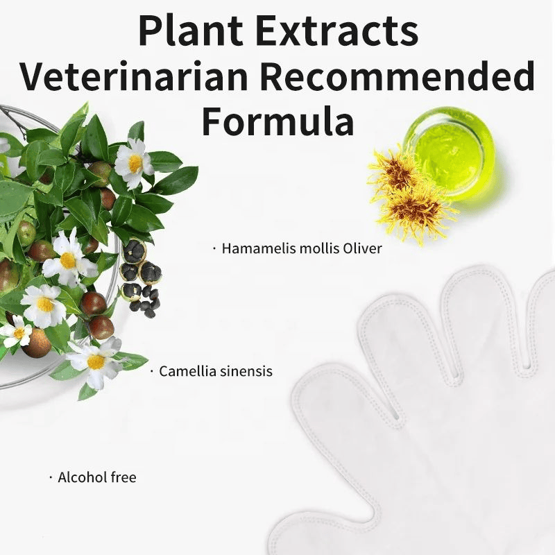 دستکش حمام 10 عددی N4P