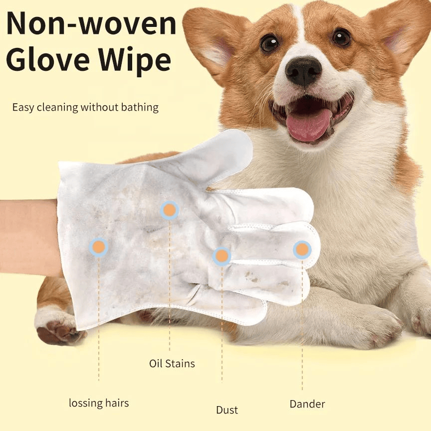 دستکش حمام 10 عددی N4P