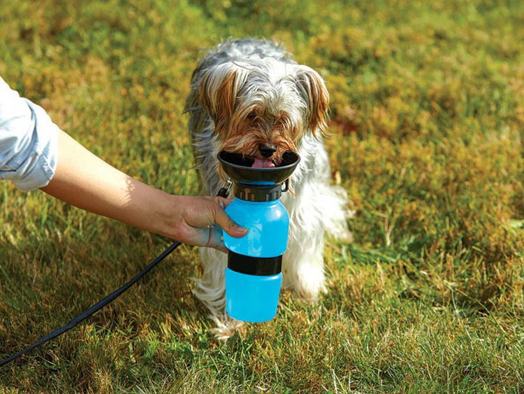 قمقمه فشاری آب مسافرتی