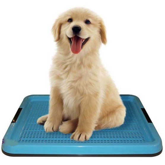 سینی ادرار پایه دار هاچیکو سایز L