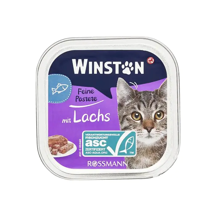 ووم گربه وینستون ماهی سالمون 100 گرمی