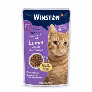 پوچ گربه وینستون گوشت بره 100 گرمی