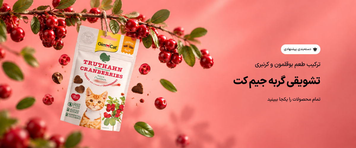 اسنک کرانچی کرنبری و بوقلمون